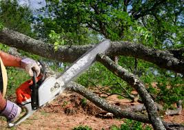 Best Firewood Processing and Delivery  in Seven Fields, PA